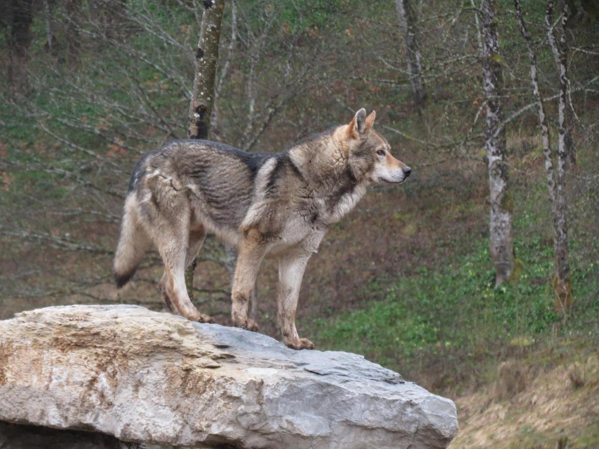 Parc animalier du Hérisson Villa Doucier Esterno foto
