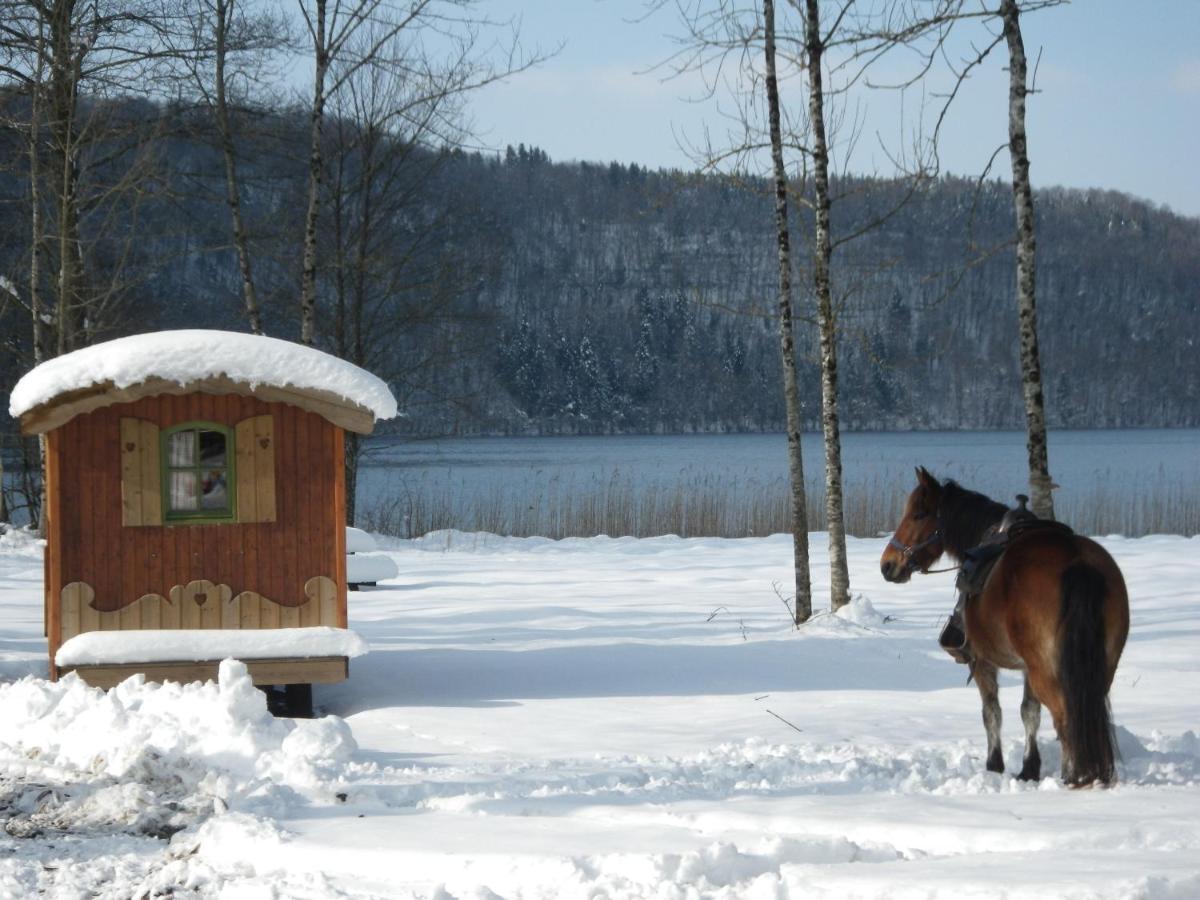Parc animalier du Hérisson Villa Doucier Esterno foto