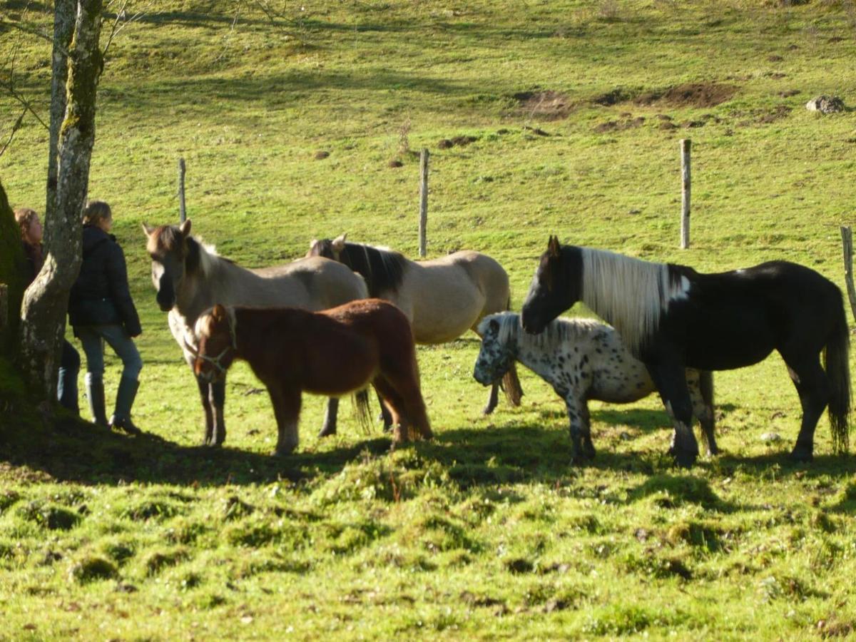 Parc animalier du Hérisson Villa Doucier Esterno foto