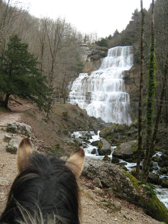 Parc animalier du Hérisson Villa Doucier Esterno foto
