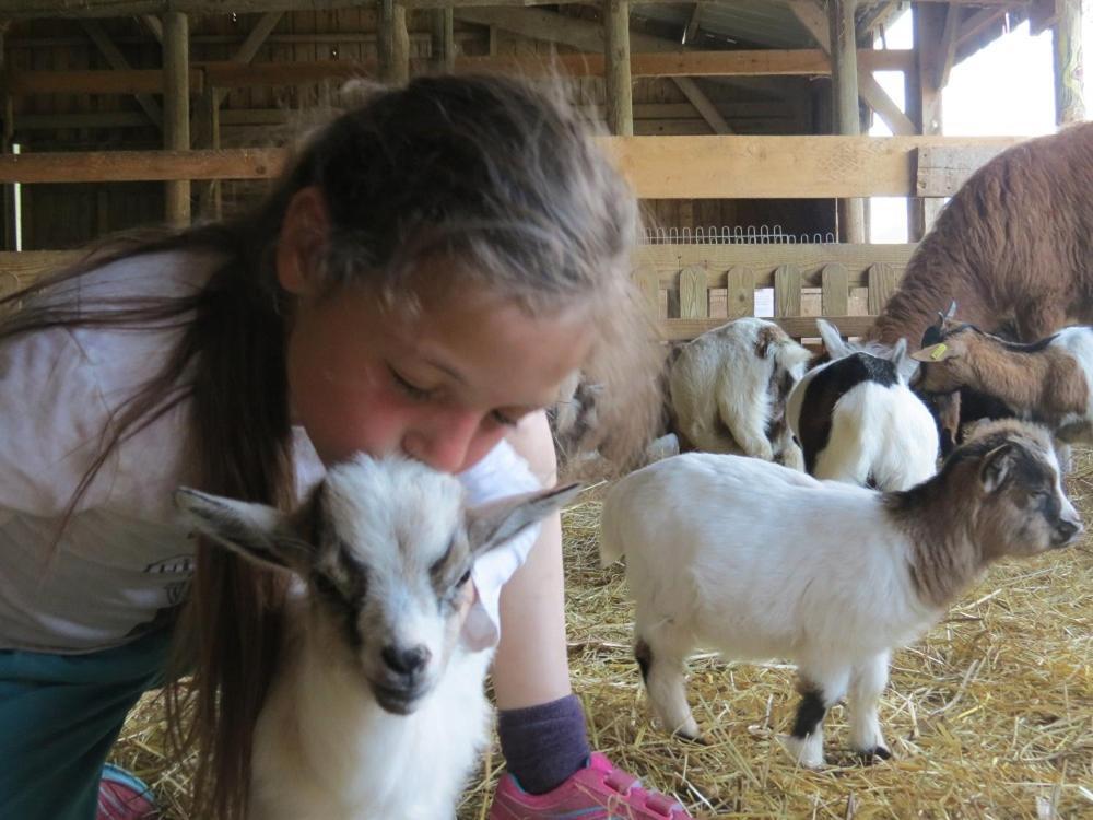 Parc animalier du Hérisson Villa Doucier Esterno foto
