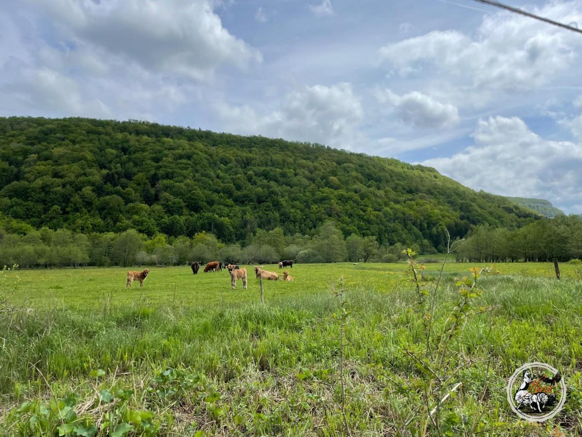Parc animalier du Hérisson Villa Doucier Esterno foto