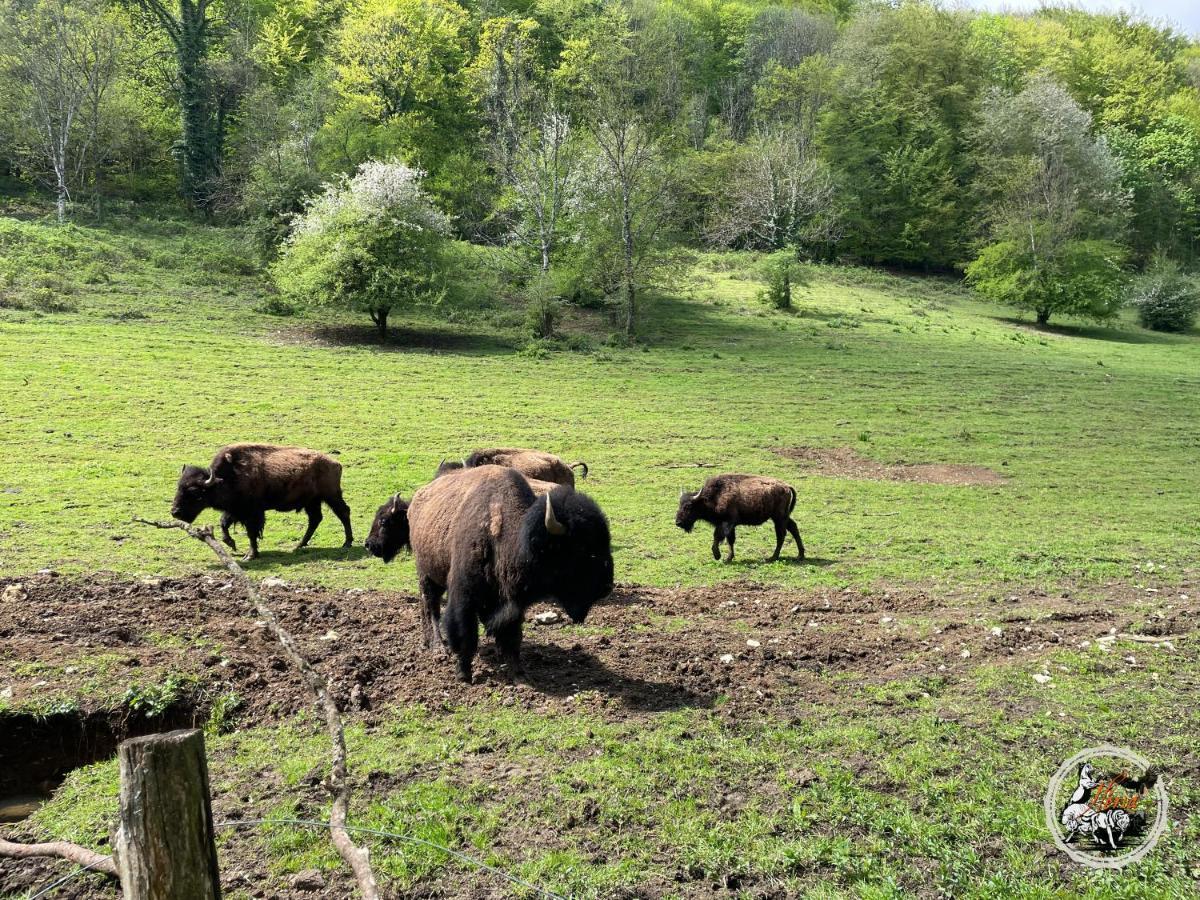 Parc animalier du Hérisson Villa Doucier Esterno foto